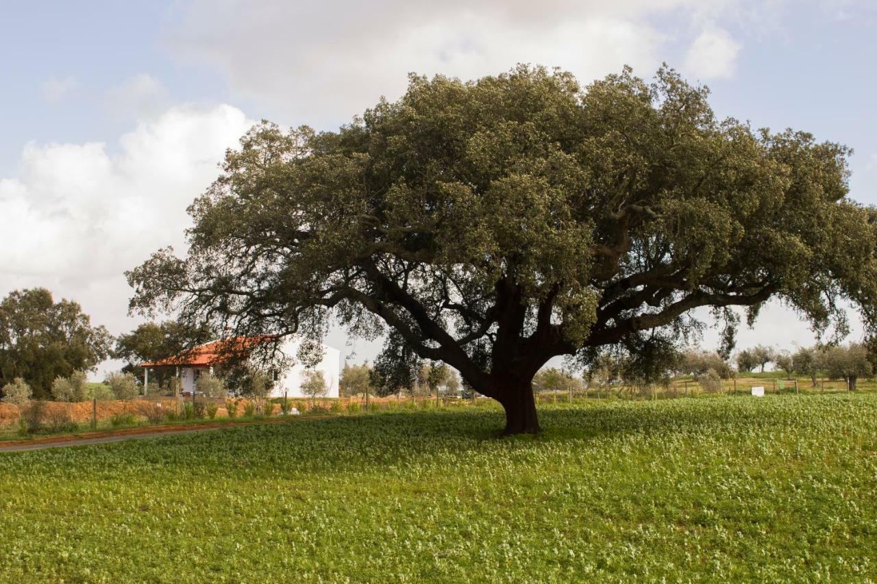 Monte Quinta Verde Ferreira Do Alentejo Esterno foto
